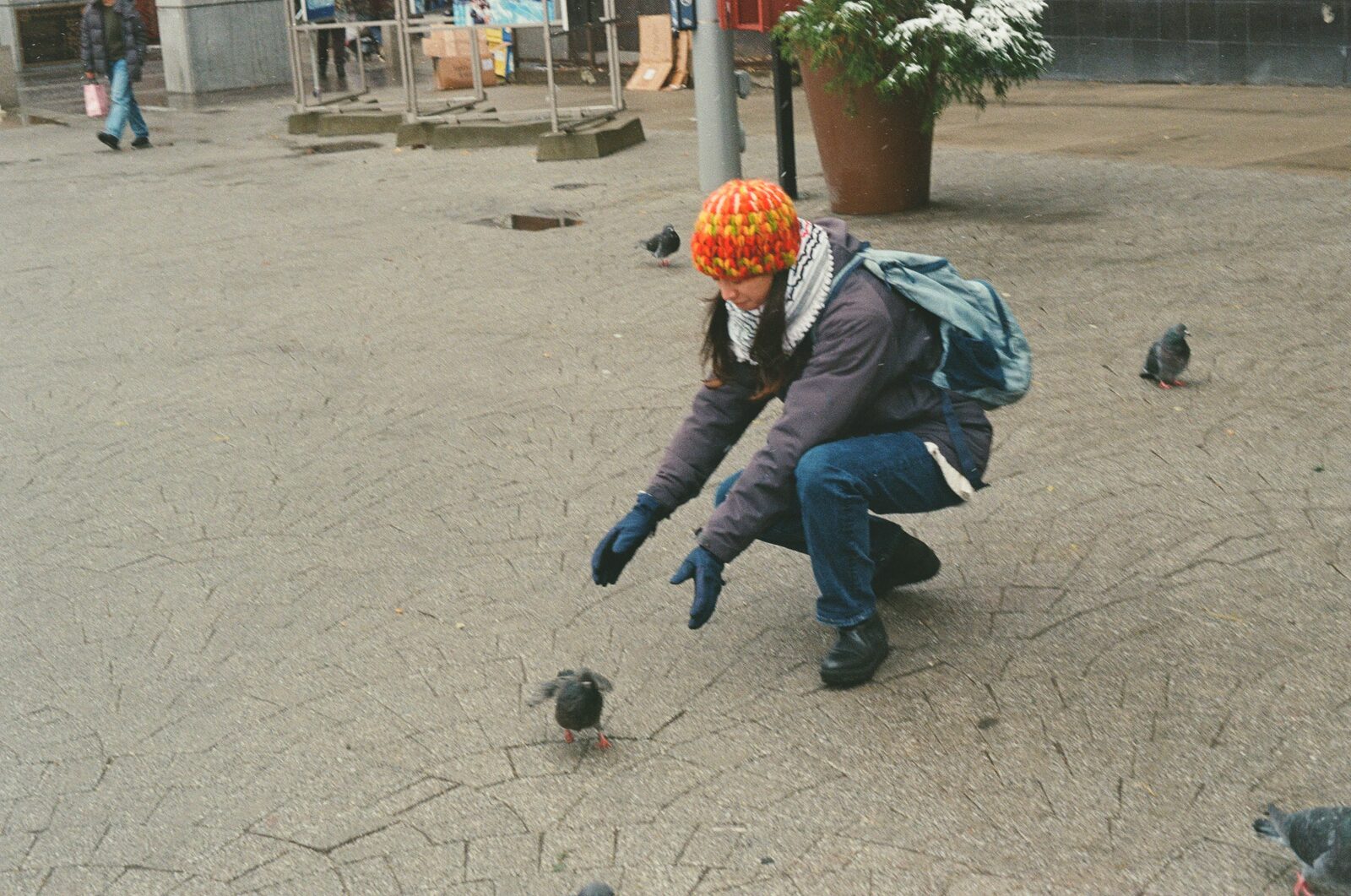 Photograph